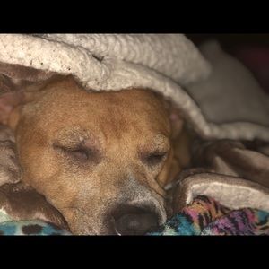 Meet your Posher, Monica